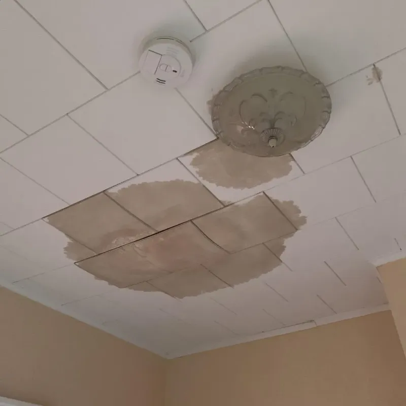 Ceiling Water Damage Repair in Woodsboro, MD