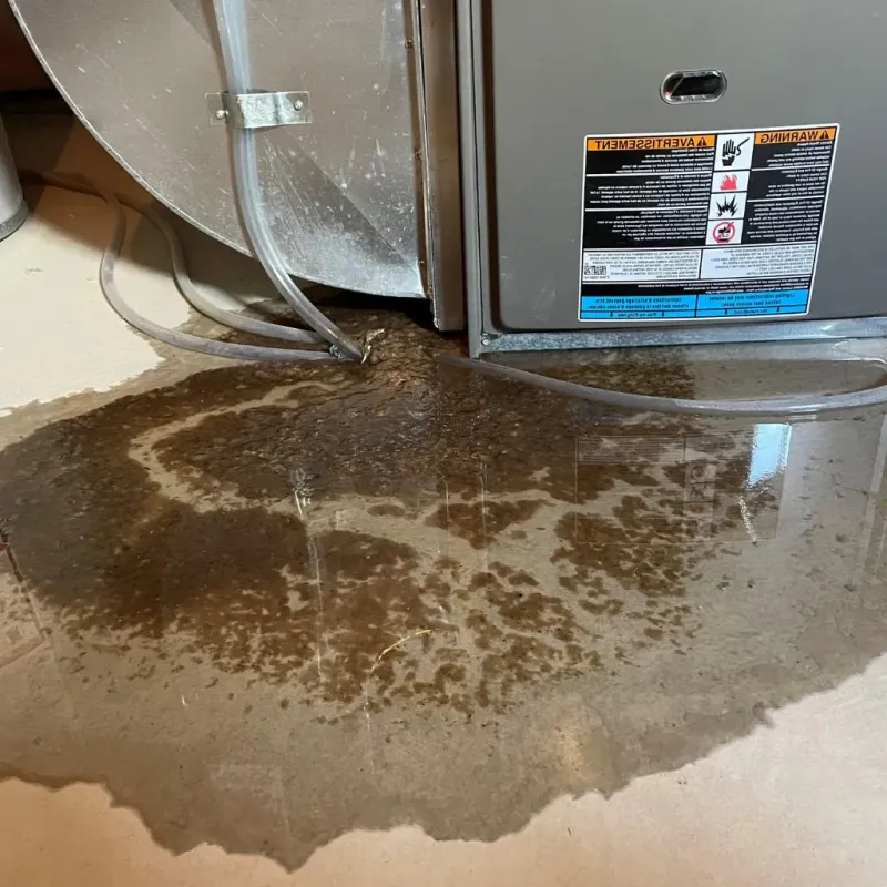 Pipe Burst and Leak Restoration in Woodsboro, MD